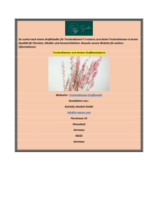 Trockenblumen zum besten Großhandelpreis