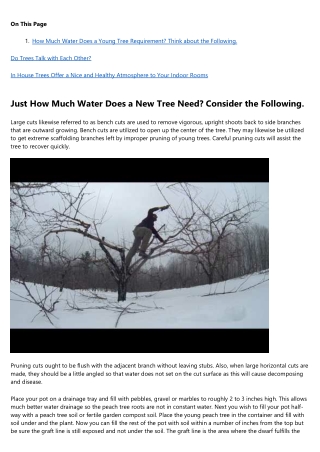 12 Do's and Don'ts for a Successful arborist
