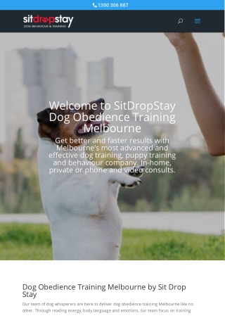 Dog obedience training Melbourne