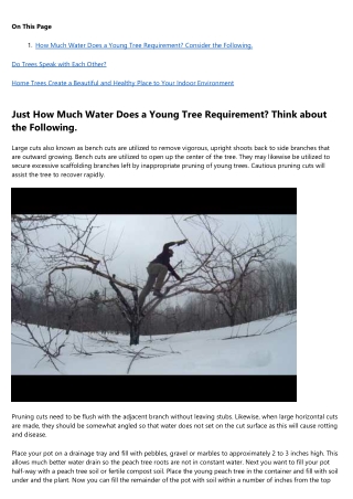 12 Companies Leading the Way in arborist