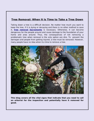 Why Are Tree Removal Services Providers Essential for Problematic and Diseased Trees?