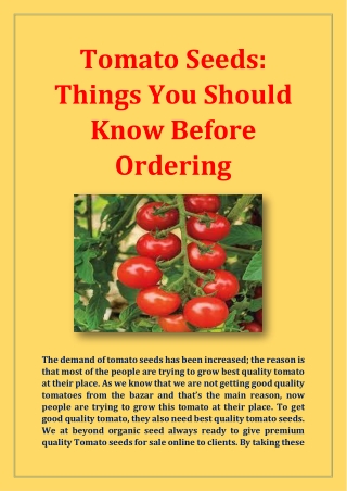 Tomato Seeds Things You Should Know Before Ordering