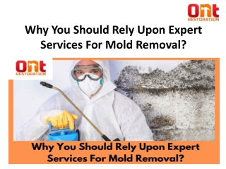 Why You Should Rely Upon Expert Services For Mold Removal