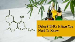 Delta-8 THC 6 Facts You Need To Know