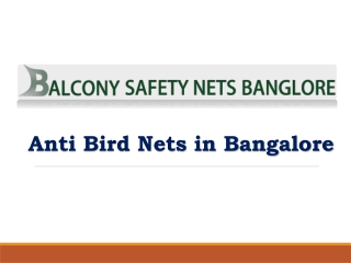 Anti Bird Nets in Bangalore