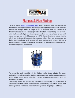 Flanges & Pipe Fittings