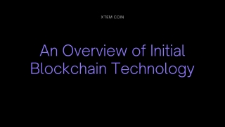 An Overview of Initial Blockchain Technology