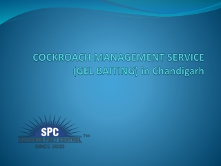 Cockroach management service in Chandigarh
