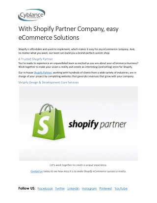 Shopify Partner Company
