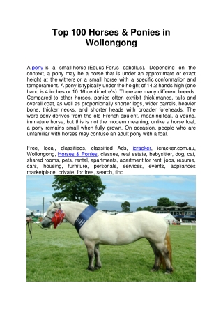 Top 100 Horses & Ponies in Wollongong