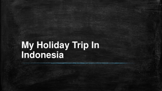 My Holiday Trip In Indonesia