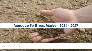 Morocco Fertilizers Market Key Players, Revenue Insights To 2027