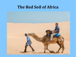 The Red Soil of Africa - Uprise Travel