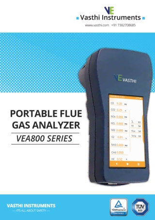 Portable Flue Gas Analyzer