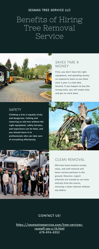 Benefits of Hiring Tree Removal Service