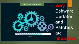 Why Software Updates and Patches are Important? Webroot