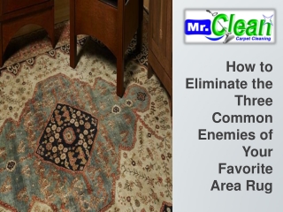 How to Eliminate the Three Common Enemies of Your Favorite Area Rug