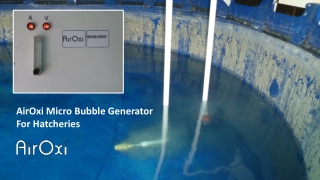 AirOxi Micro Bubble Generator For Hatcheries-AirOxi Tube