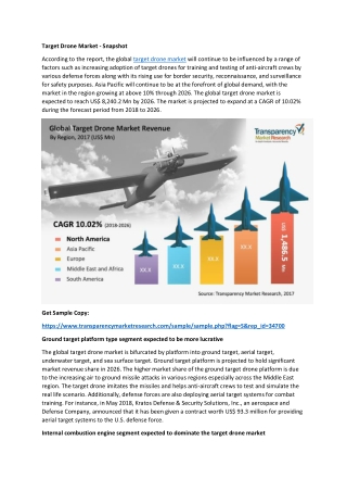 Target Drone Market-converted