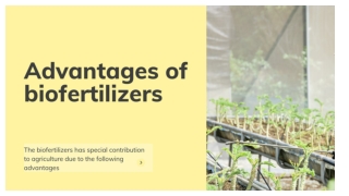 Advantages of biofertilizers