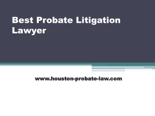 Best Probate Litigation Lawyer - Houston-probate-law.com