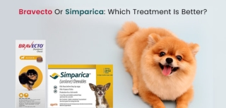 Bravecto vs Simparica  Flea Chewables for Dogs