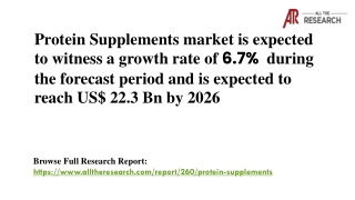 Protein Supplements