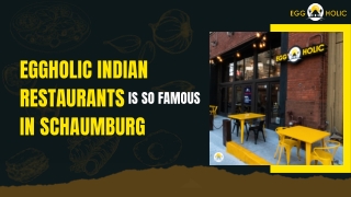 Why EggHolic Indian Restaurants In Schaumburg Is So Famous?