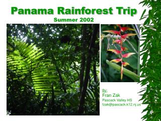 Panama Rainforest Trip Summer 2002