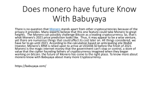 Does monero have future Know With Babuyaya