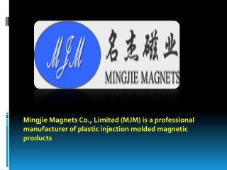 Best Injection Molded Ferrite Magnets