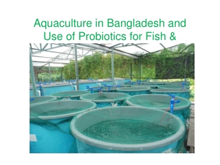 Aquaculture in Bangladesh and Use of Probiotics for Fish & Shrimp