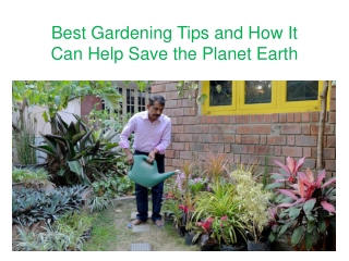 Best Gardening Tips and How It Can Help Save the Planet Earth