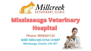 Mississauga Veterinary Hospital | MillCreek Veterinary Clinic