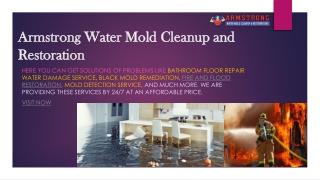 Find The Topmost Fire Restoration Company | Mold Cleanup Service