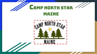 Article 20 July - Camp North Star Maine