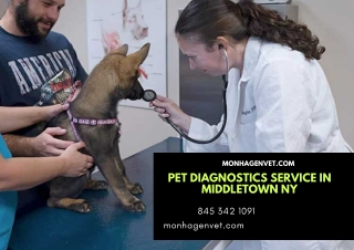 Pet Diagnostics Service in Middletown NY
