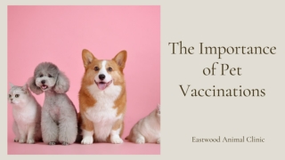 The Importance of Pet Vaccinations