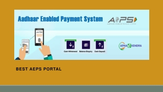 best aeps portal