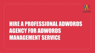 Hire a professional Adwords agency for Adwords Management Service