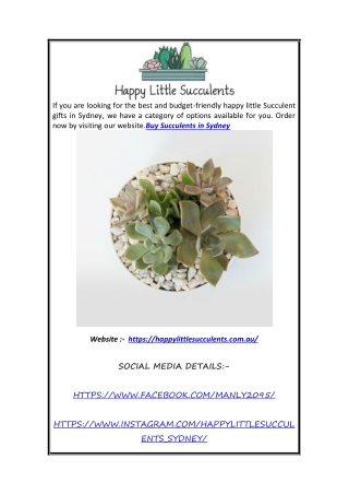 Buy Succulents in Sydney  Happylittlesucculents.com.au