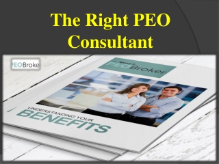 The Right PEO Consultant