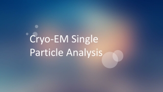 Cryo-EM Single Particle Analysis