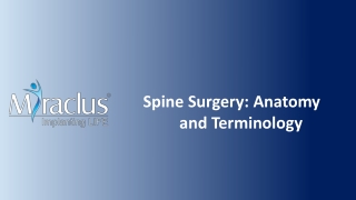 Understanding Basics Of Spine Surgery: Anatomy And Terminology | Miraclus
