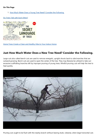 5 Lessons About tree service You Can Learn From Superheroes