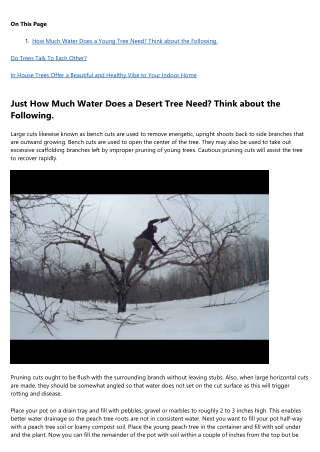 Watch Out: How tree trimming Is Taking Over and What to Do About It