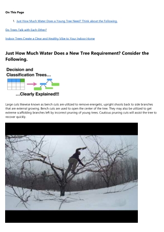 10 Facts About tree service That Will Instantly Put You in a Good Mood