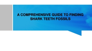 A COMPREHENSIVE GUIDE TO FINDING SHARK TEETH FOSSILS