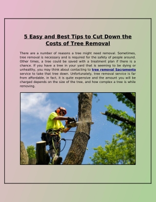 Is It a Good Idea to Spend Money on Tree Care? How Does It Help to Reduce the Costs of Tree Removal?