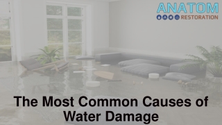 The Most Common Causes of Water Damage